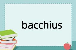 bacchius