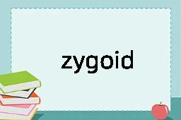 zygoid