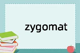 zygomatic